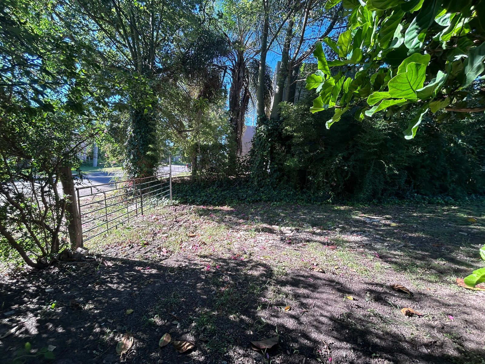 Calle Gobernador Manuel Crespo 3180