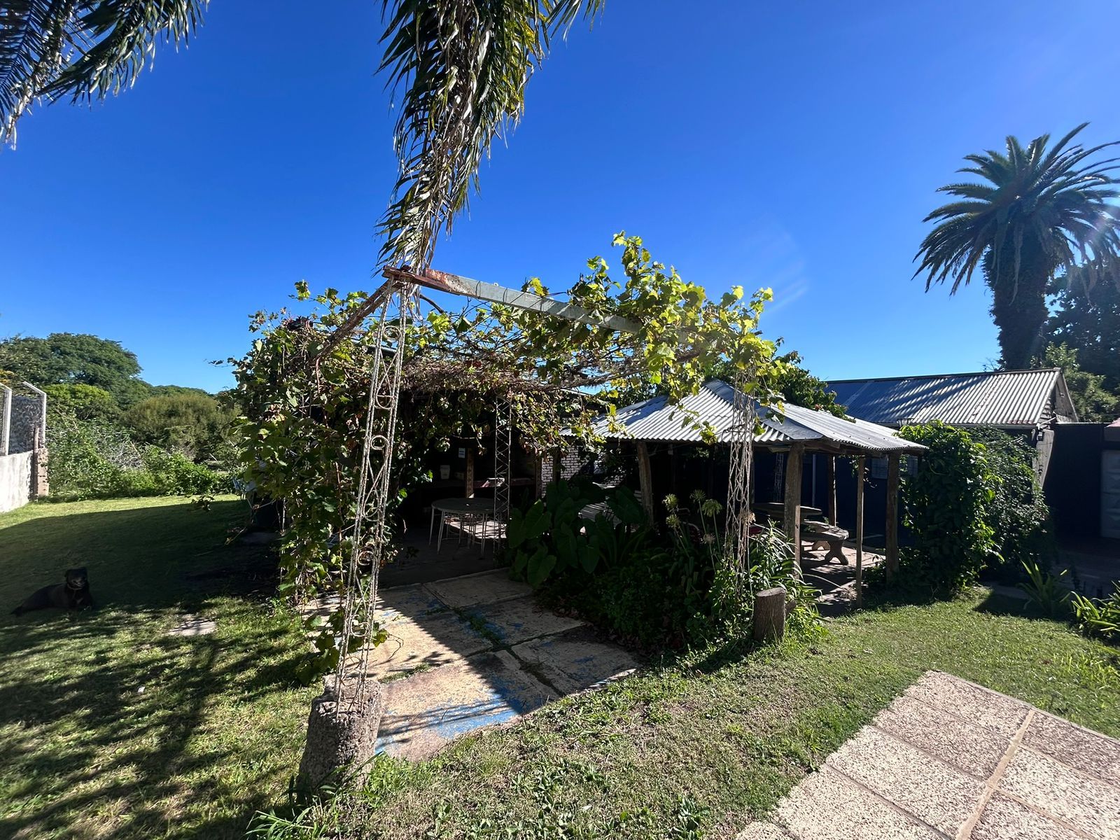 Calle Gobernador Manuel Crespo 3180