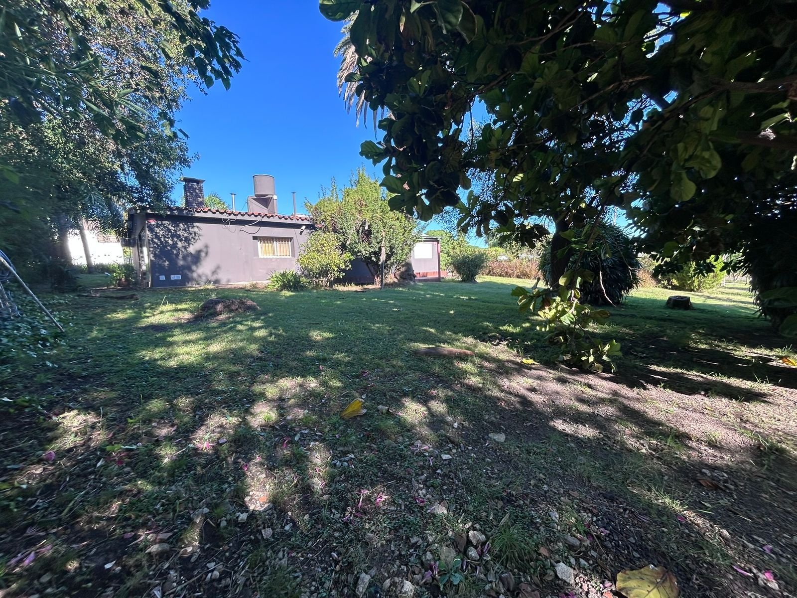 Calle Gobernador Manuel Crespo 3180