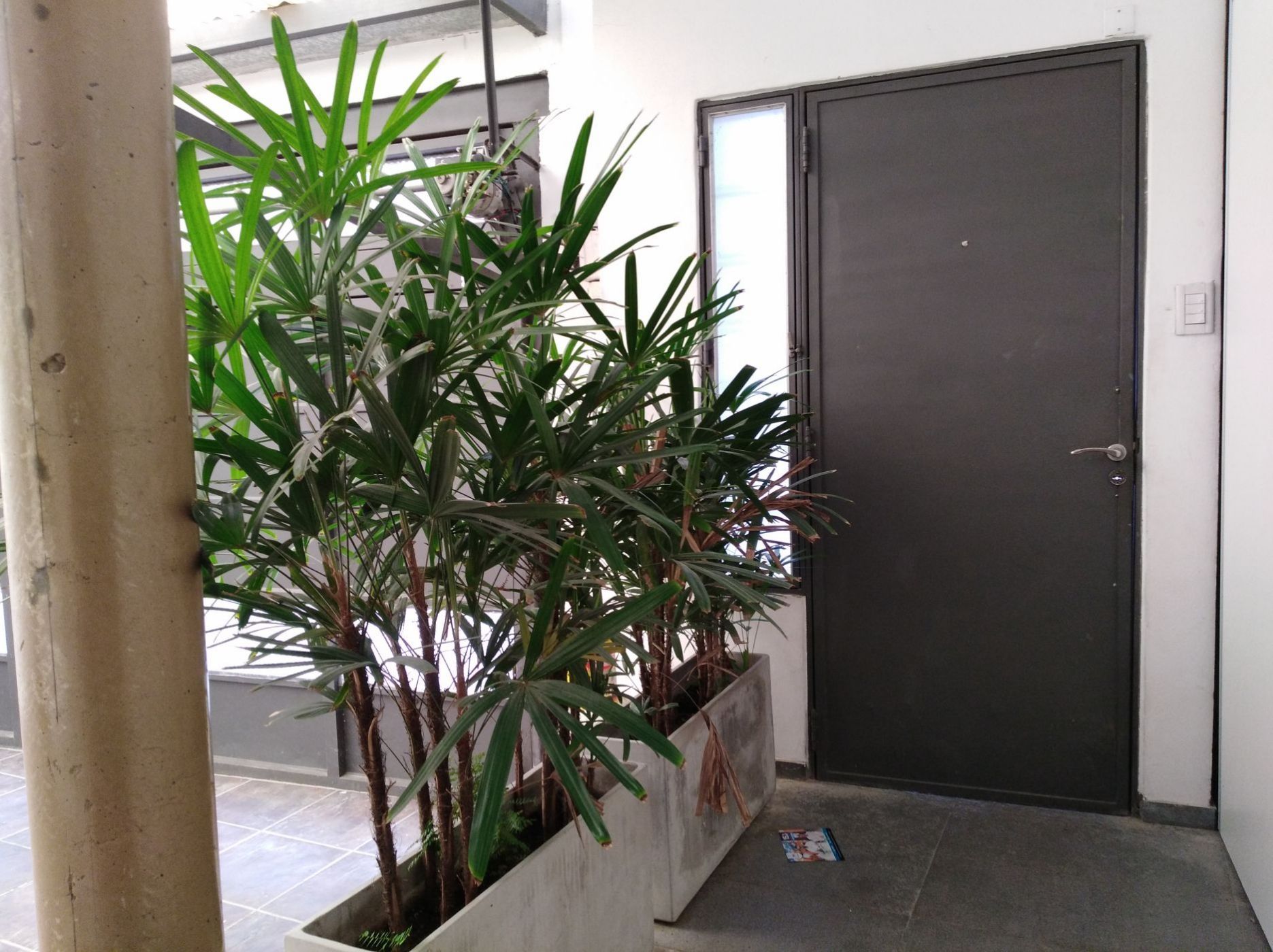 SEBASTIAN VAZQUES 269