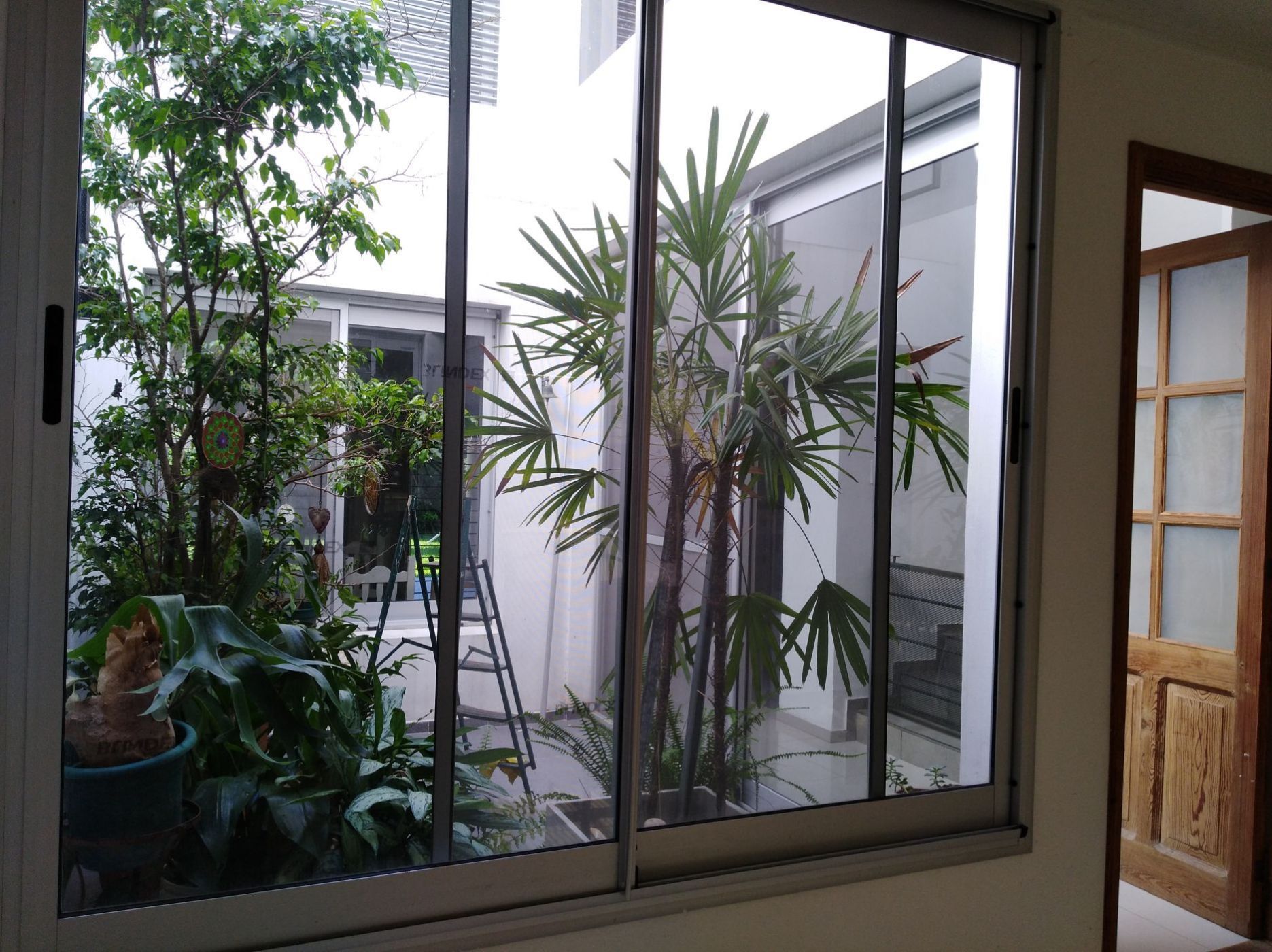 SEBASTIAN VAZQUES 269