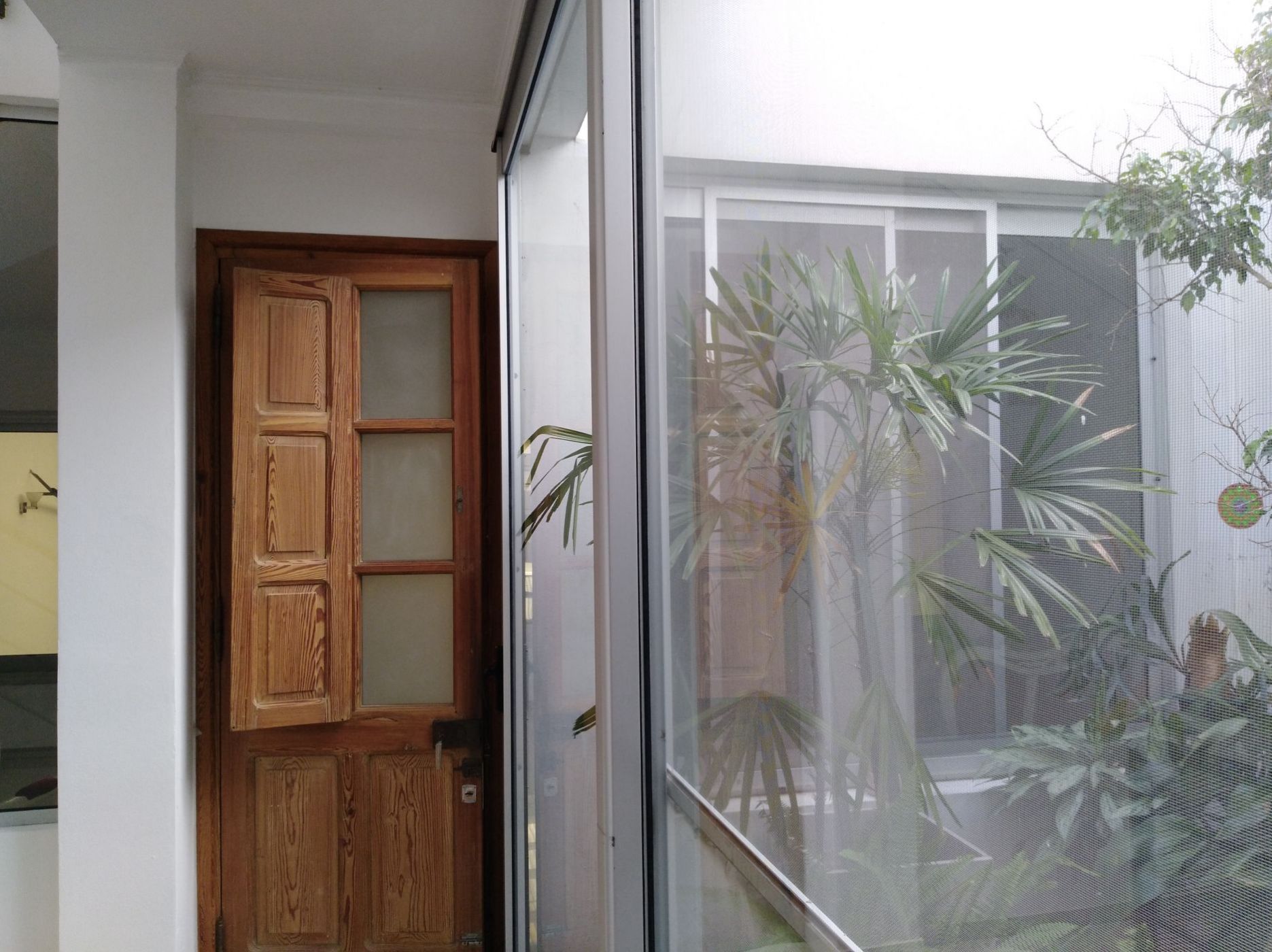 SEBASTIAN VAZQUES 269