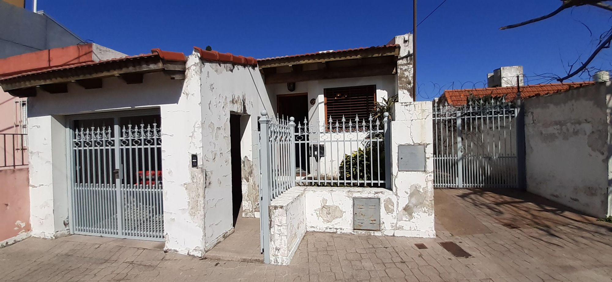 ALVARADO   GRAL. 1445