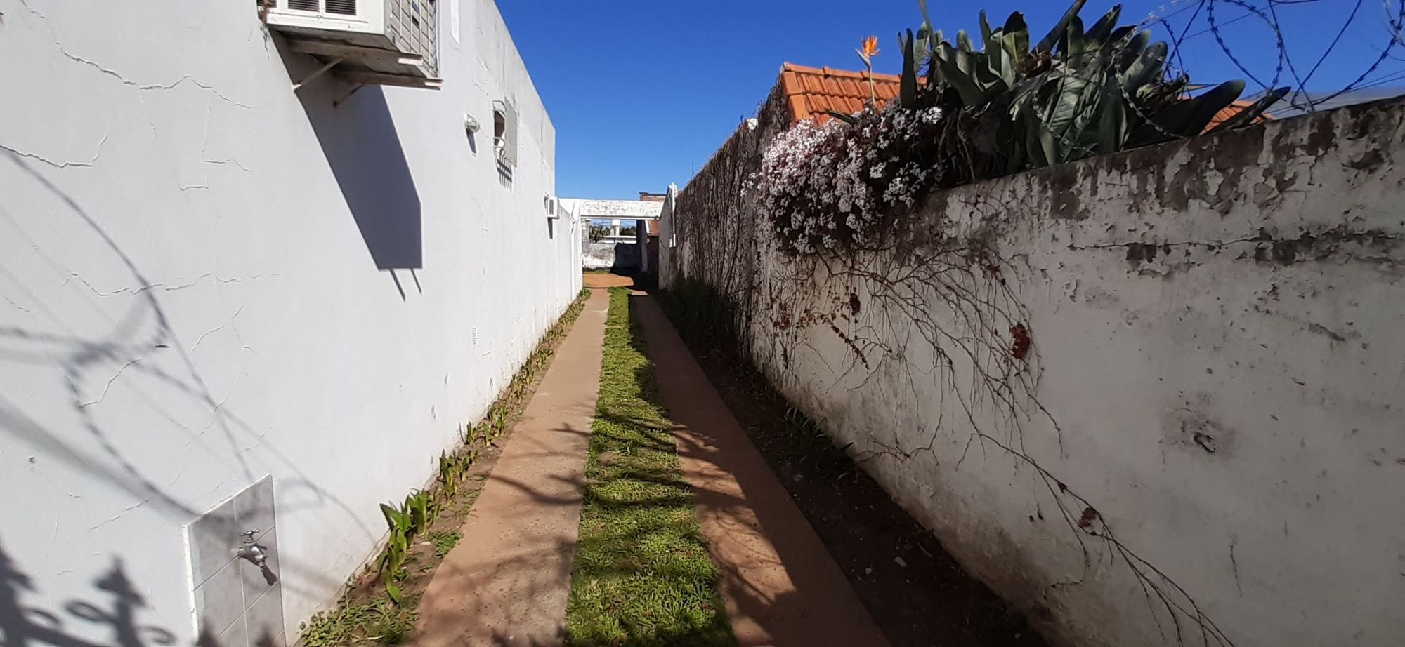 ALVARADO   GRAL. 1445