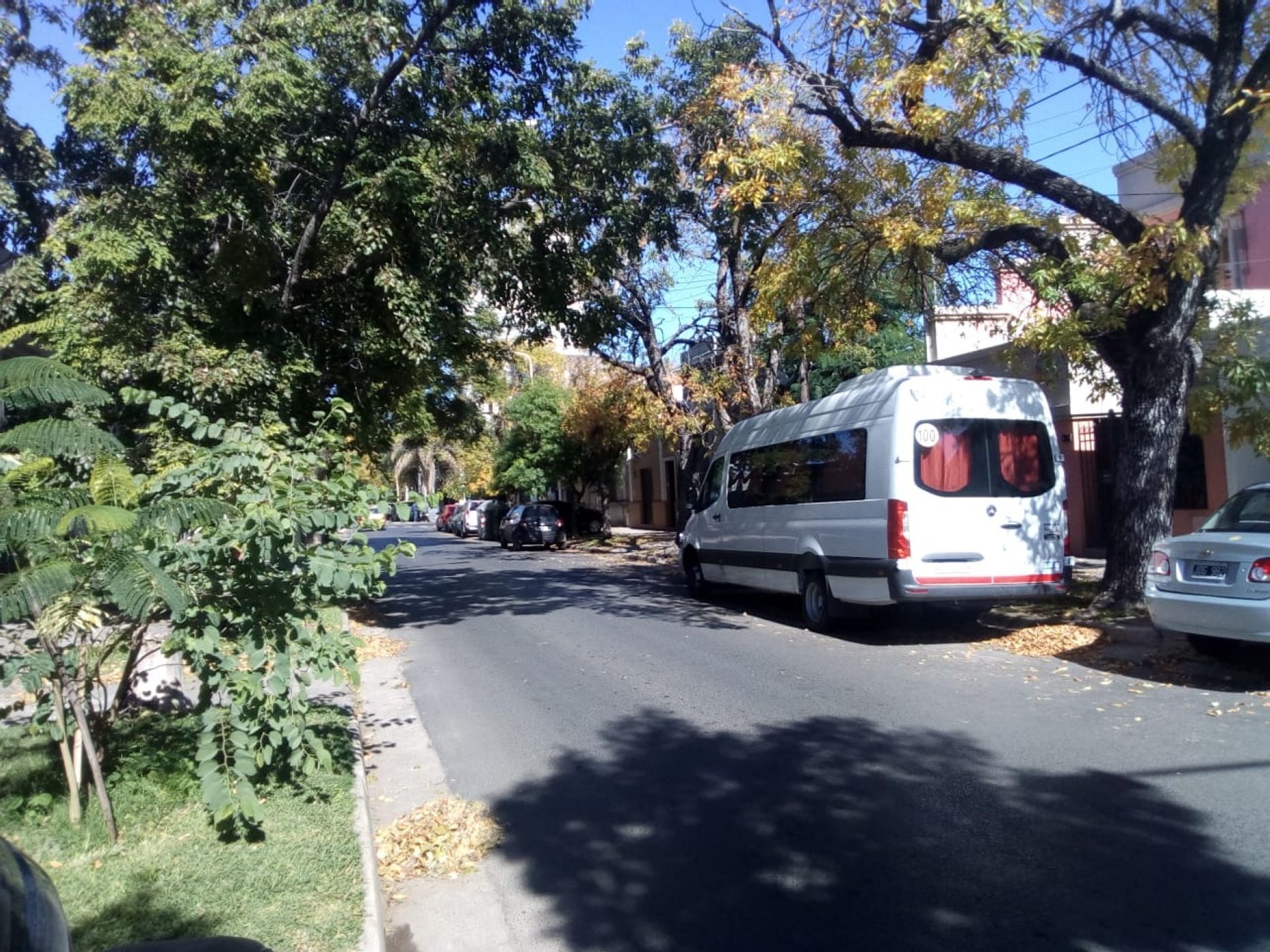 MENDOZA 172