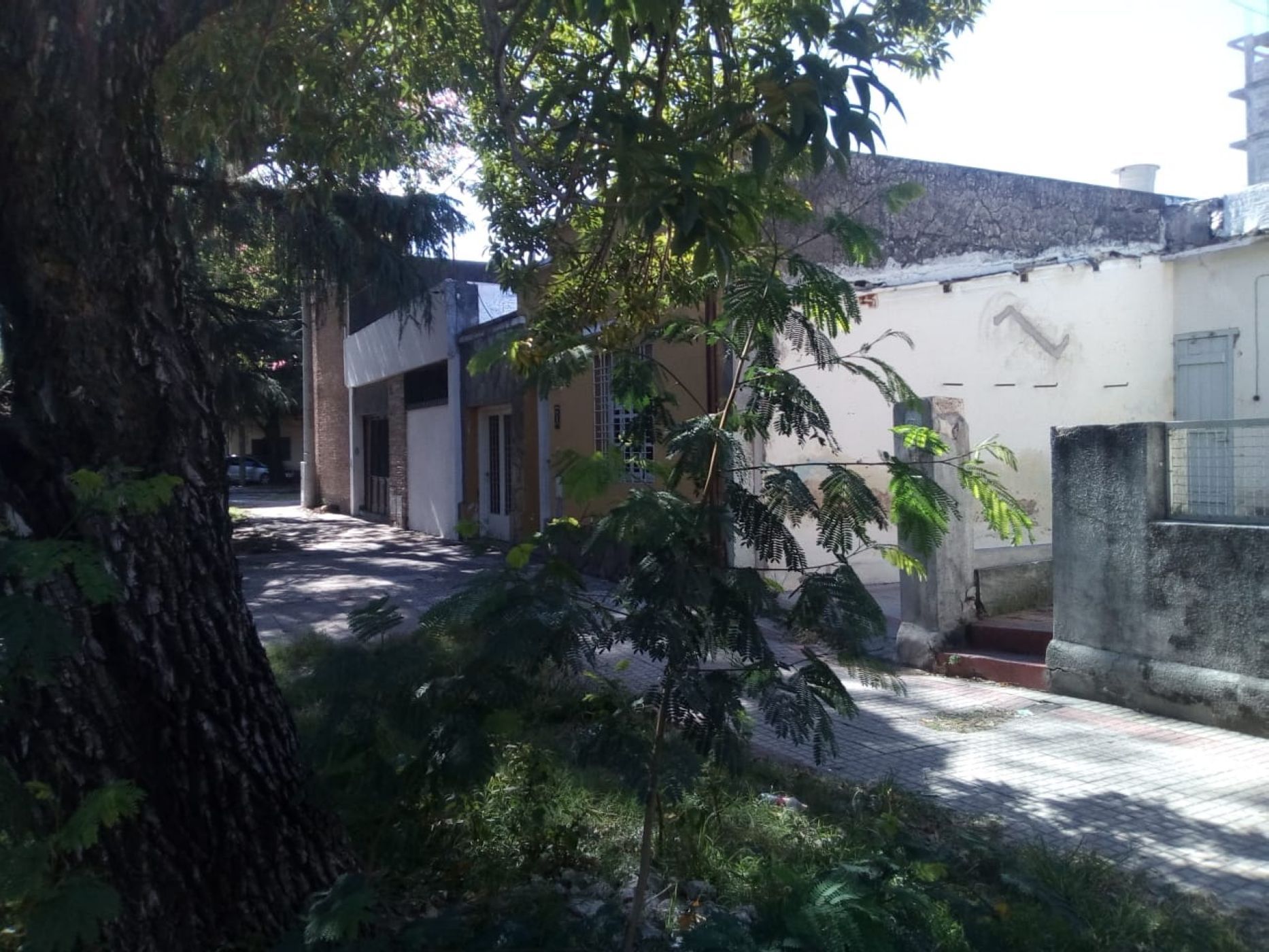 MENDOZA 172
