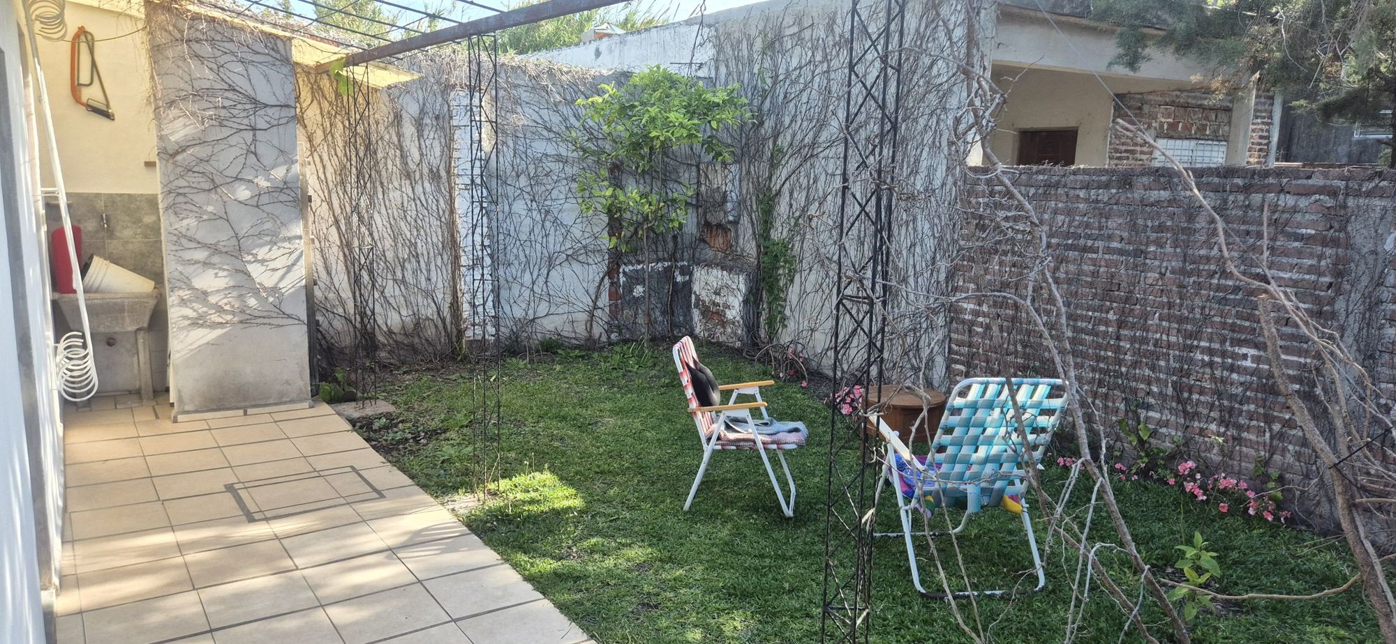 EL PALENQUE 2259